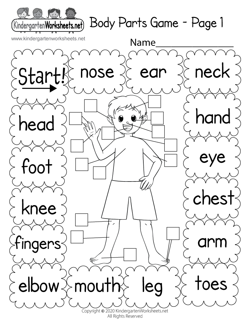 body parts worksheet